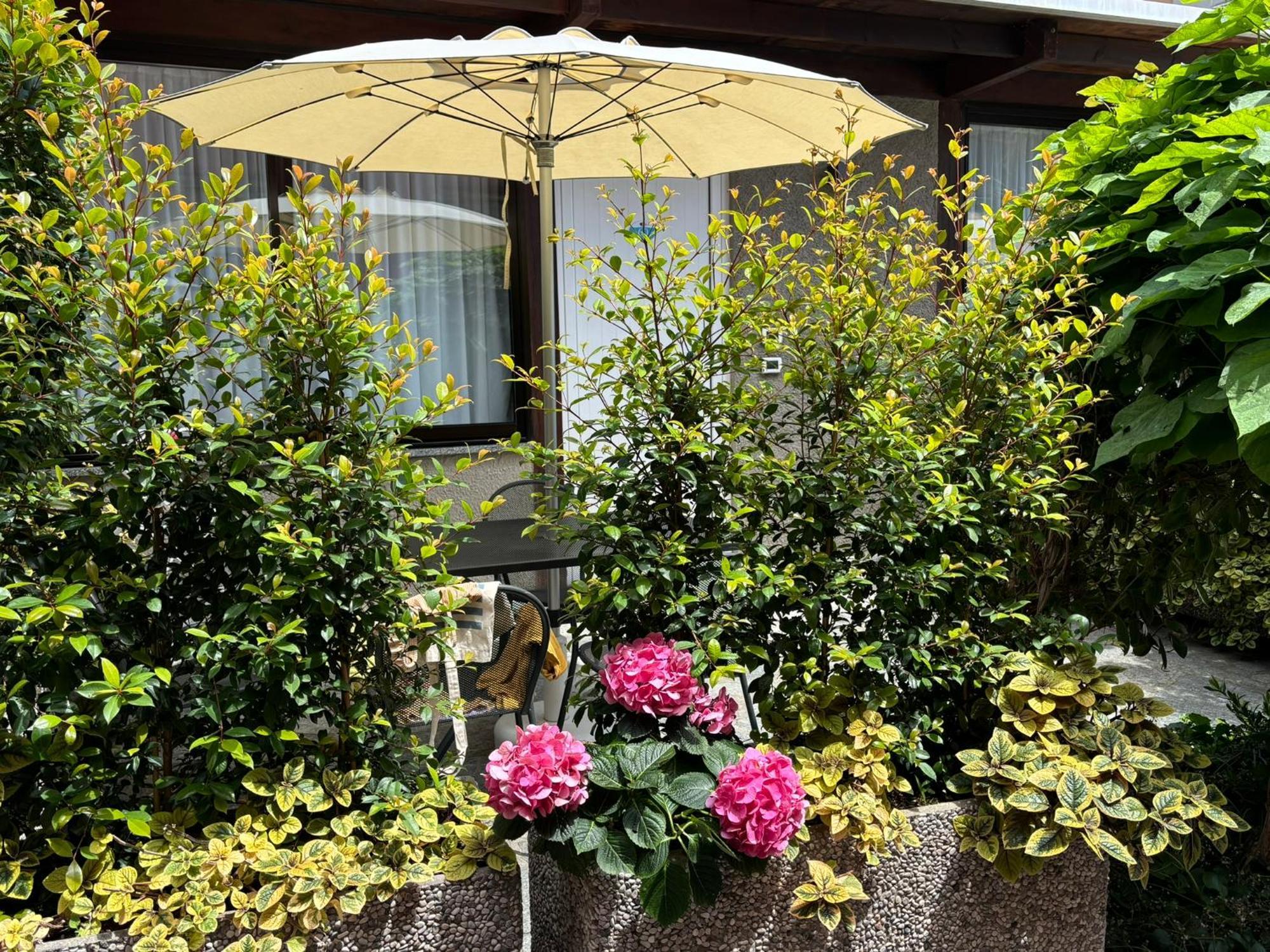 Hotel Delle Rose San Bartolomeo Al Mare Exteriör bild